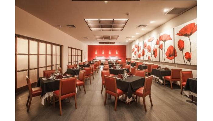 Hotel Allegro Playacar poza 6