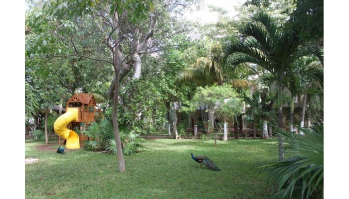 Poza pentru Hotel Plaza Caribe 118-1538736016 Hotel Plaza Caribe poza 3