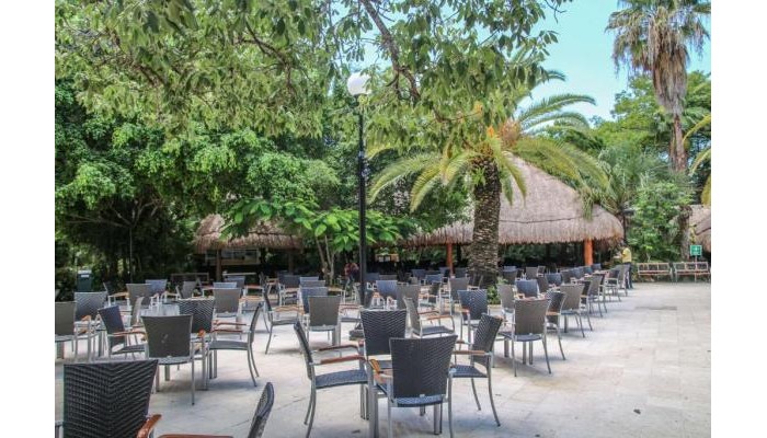 Hotel Viva Wyndham Maya poza 12